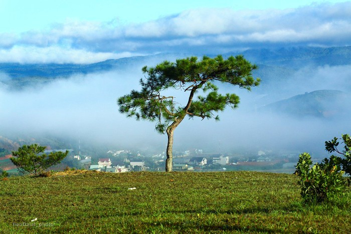 Đồi Thiên Phúc Đức