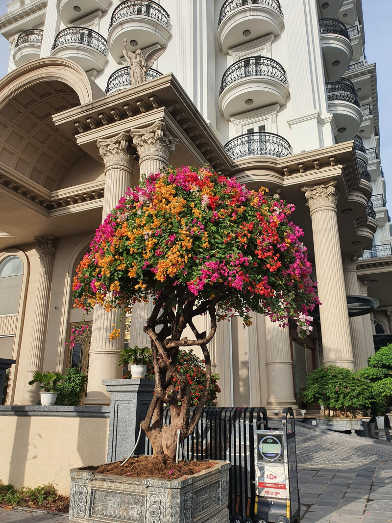 Mạnh Quân Luxury Hotel