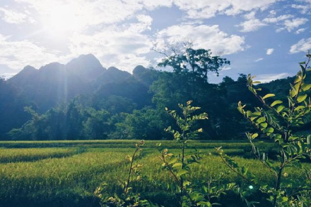 Lịch trình tour du lịch vườn quốc gia Xuân Sơn được du khách yêu thích