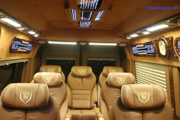 Daily Limousine