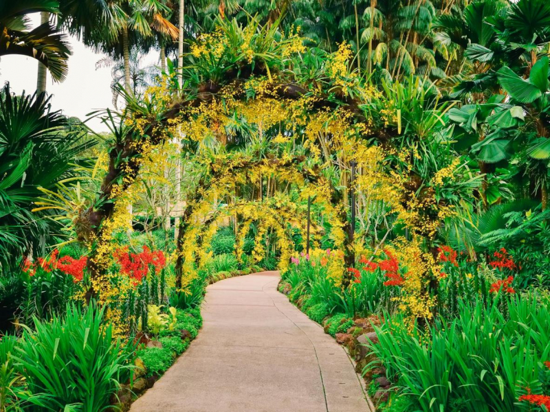 Vườn bách thảo Botanic Garden