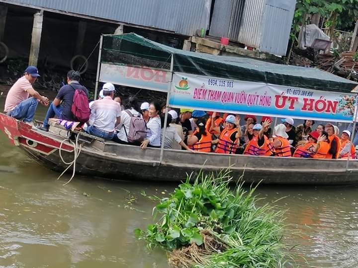 Vườn quýt hồng Út Hớn