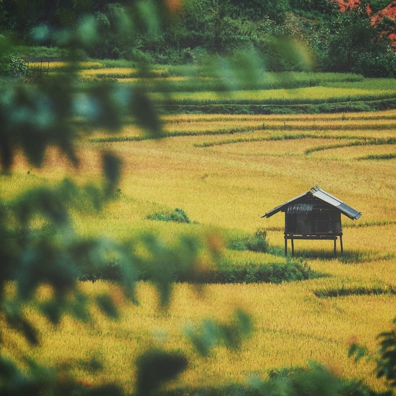 Đã đến Mù Cang Chải thì đừng quên mang theo máy ảnh nhé, nếu không các bạn sẽ bỏ lỡ nhiều điều thú vị đấy.