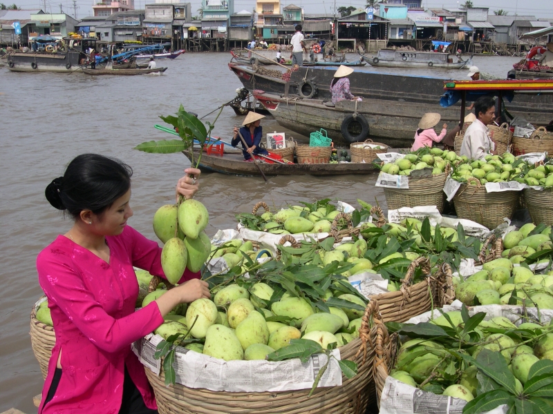 Những cô gái Tây Đô