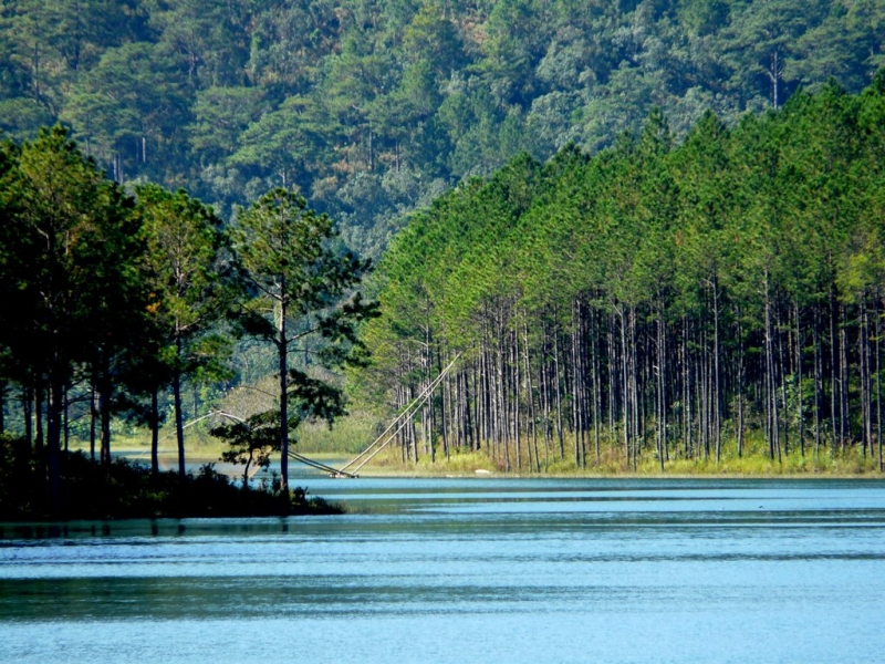 Hồ Tuyền Lâm