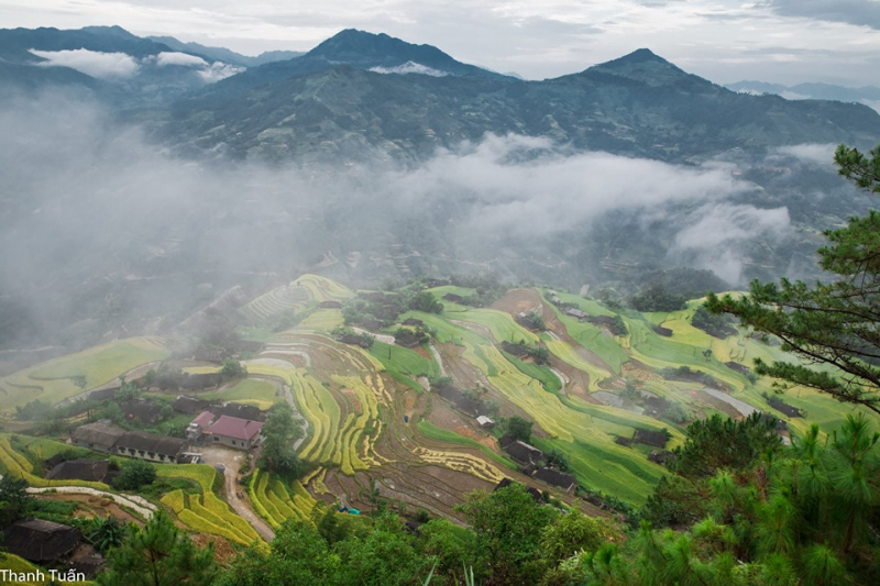 Group là nơi những nhân vật trải nghiệm chia sẻ cuộc hành trình của họ, cách họ khám phá vẻ đẹp đất nước con người Việt nam