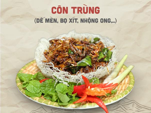 Độc Quán