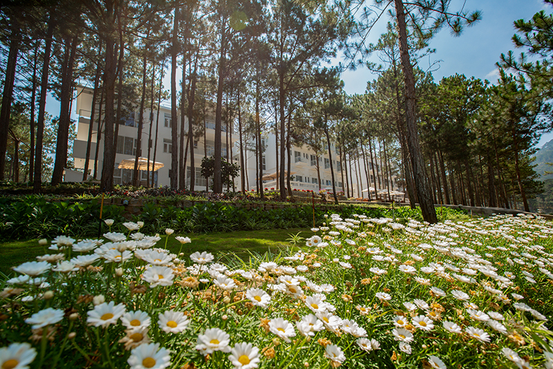 Cereja Hotel & Resort Đà Lạt