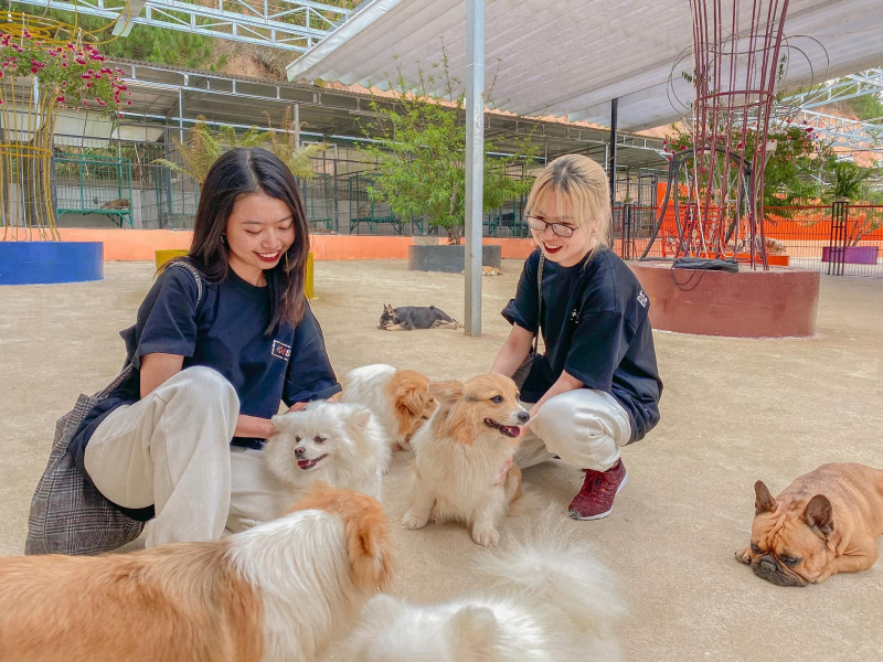 Nông trại Cún Puppy Farm