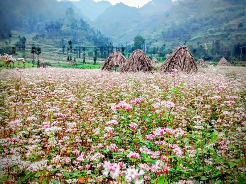 Du lịch Đồng Văn