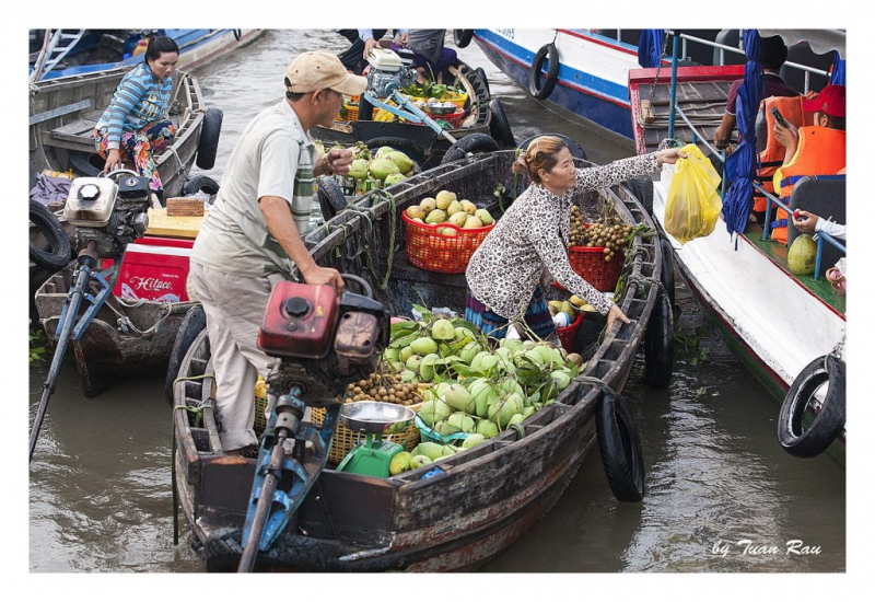 Một ghe bán xoài trên chợ nổi.