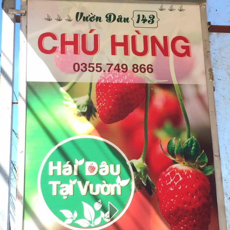 Vườn Dâu Chú Hùng