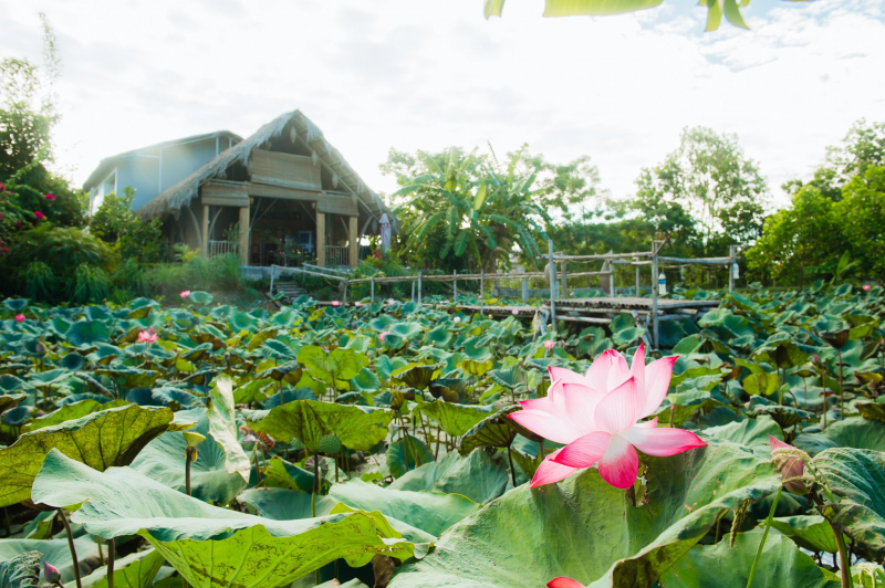 Nan House Tam Coc