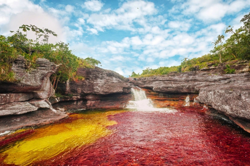 Sông Cano Cristales, Colombia