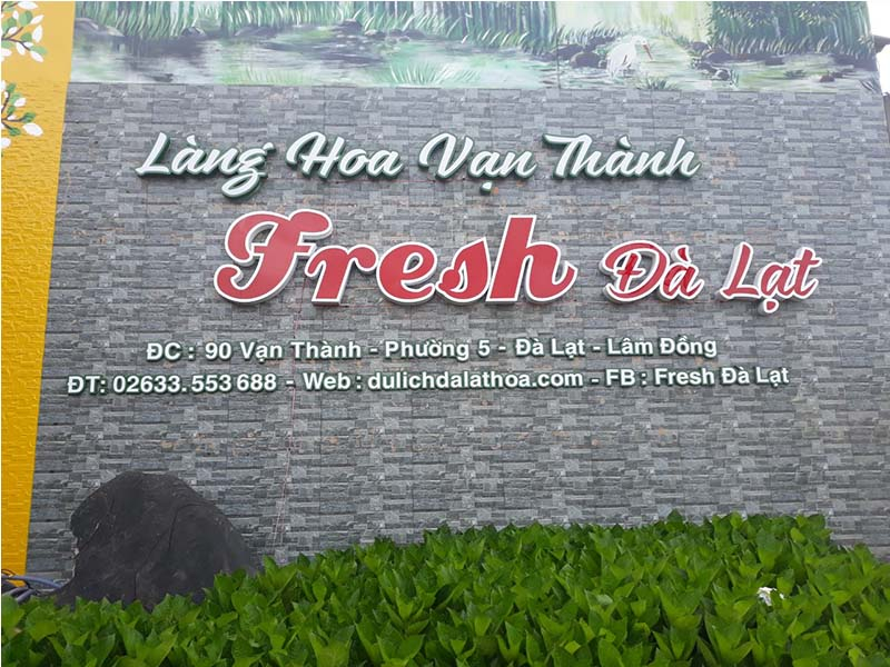 Làng hoa Vạn Thành là làng hoa lớn nhất Đà Lạt