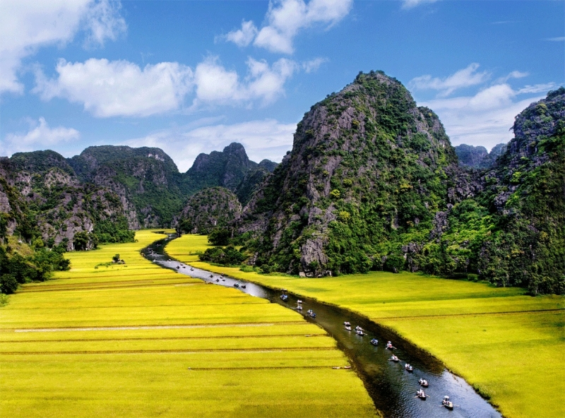 Màu vàng rực rỡ của lúa chín hòa với màu xanh của thiên nhiên đất trời tạo nên khung cảnh hữu tình