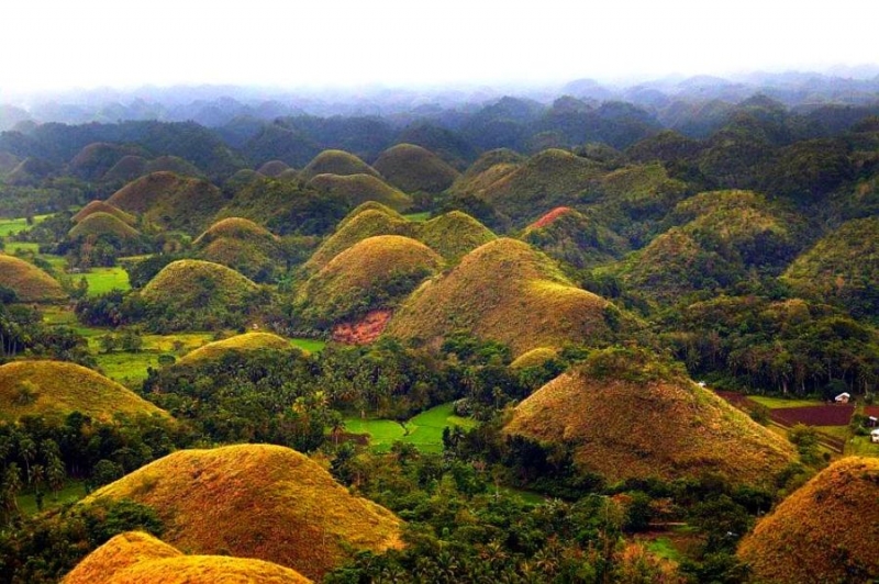 Đồi sô cô la, đảo Bohol, Philippines