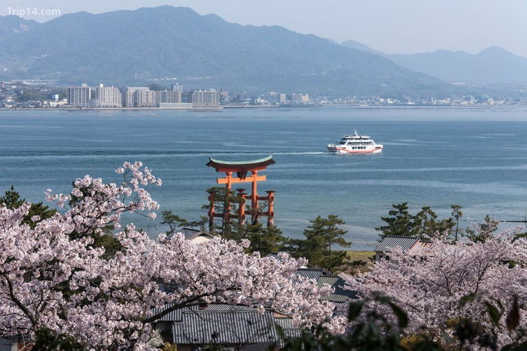 Thị trấn nhỏ Miyajima