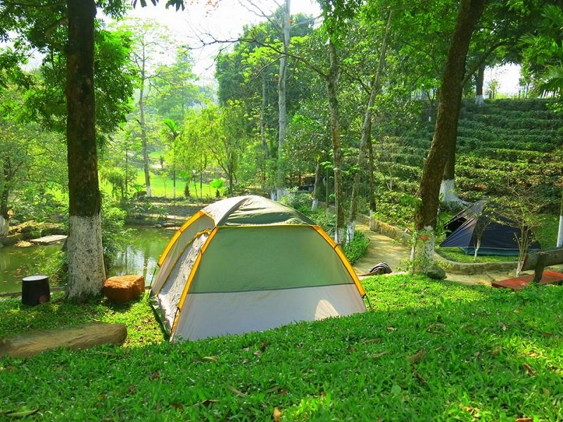 Khu cắm trại Sơn Tinh Camp