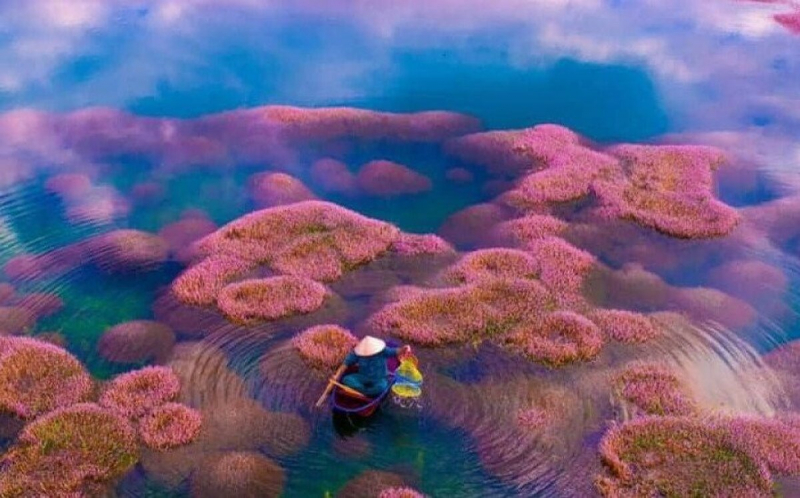 Hồ Tảo Hồng Ở B’lao