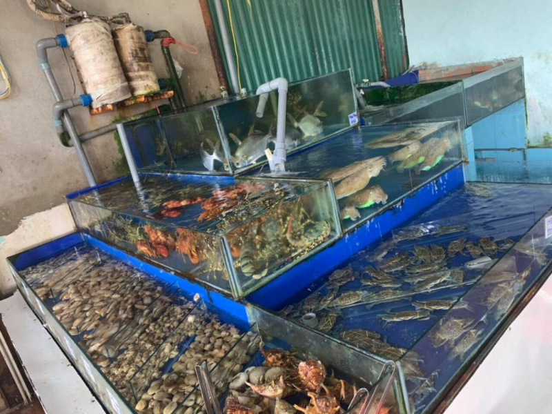 Làng Chài Tháp Bà - Hải Sản Tươi Sống