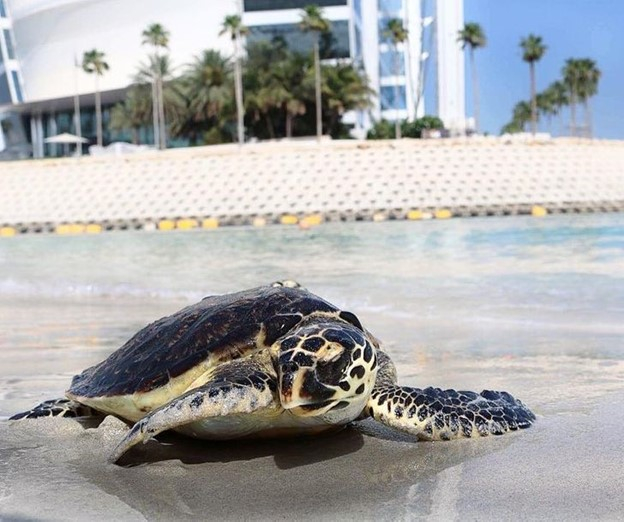 © burjalarab / Instagram