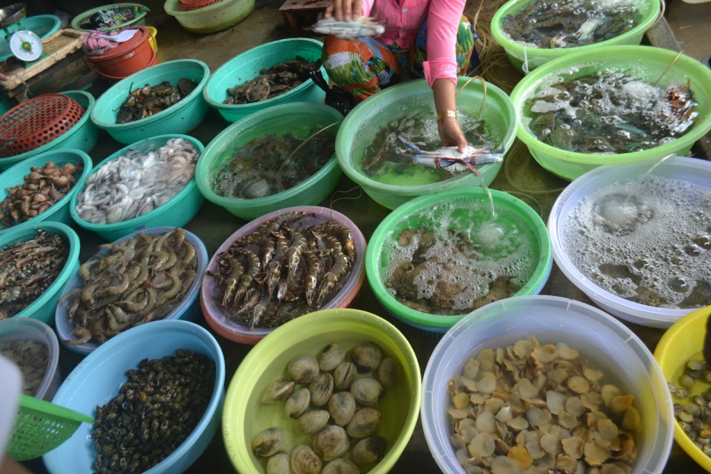 Làng chài Côn Đảo