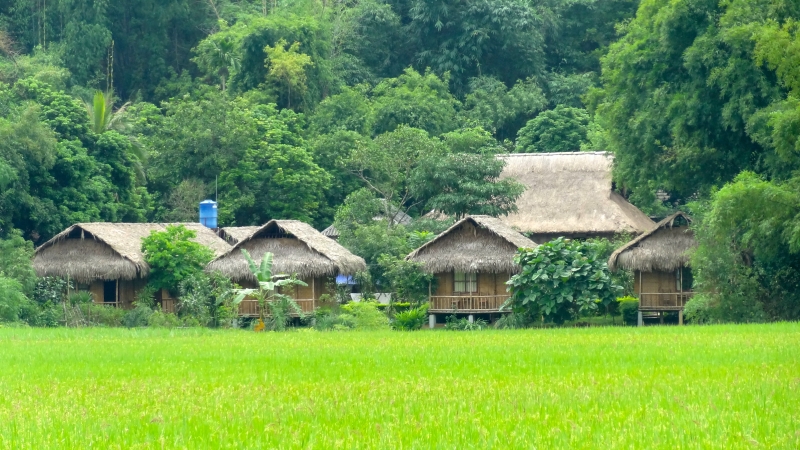 Mai Châu (Hòa Bình)