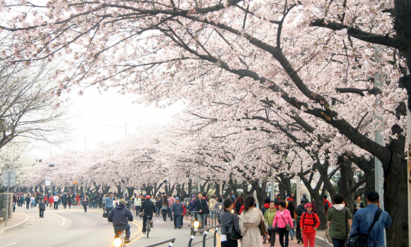 Công viên Yeouido