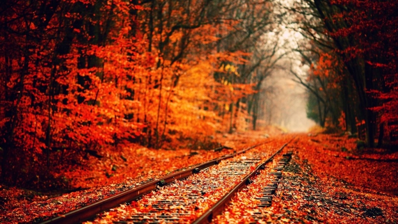 Đường hầm tình yêu (Tunnel of love)