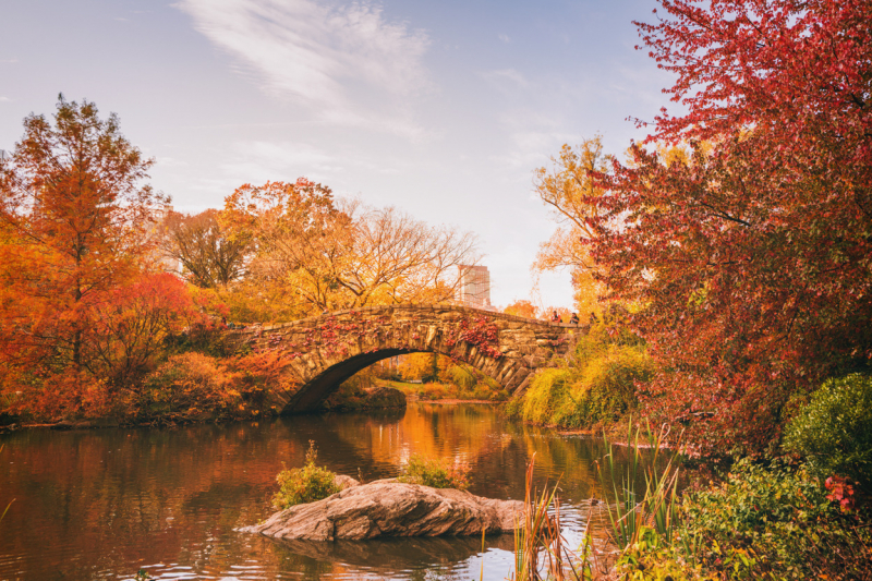 Công viên trung tâm New York (New York Central Park)