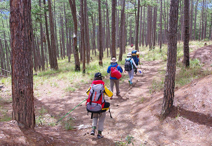 nhung kinh nghiem khi di du lich langbiang da lat