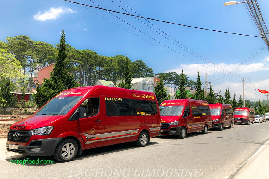 Lạc Hồng VIP 9 Express