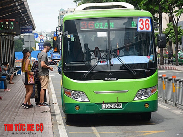 xe bus 36 hcm