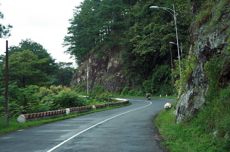 duong di den lang hoa van thanh o da lat