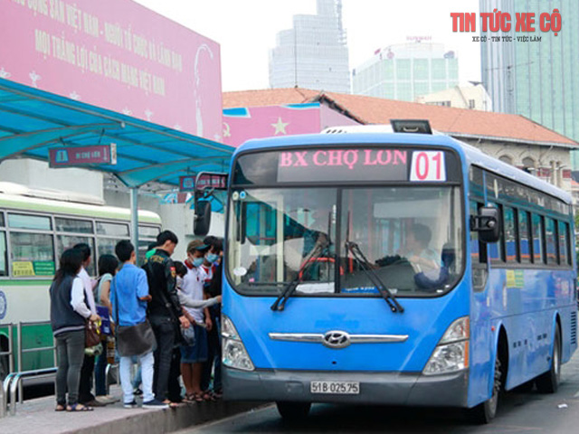 xe bus 01 tphcm