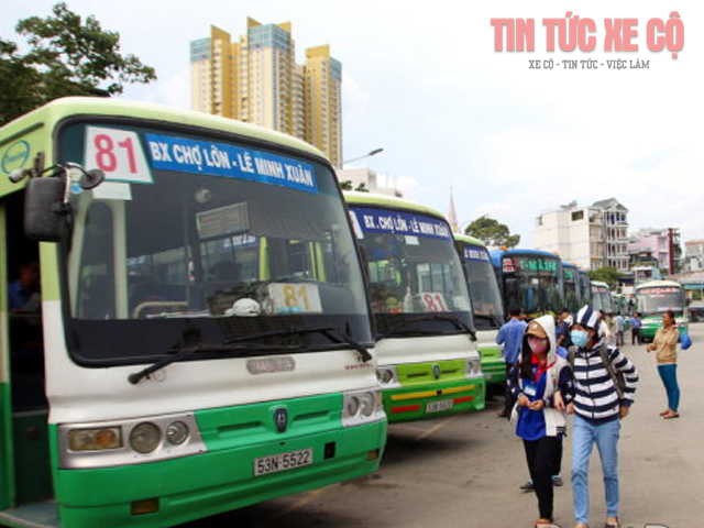 xe bus 81 tphcm