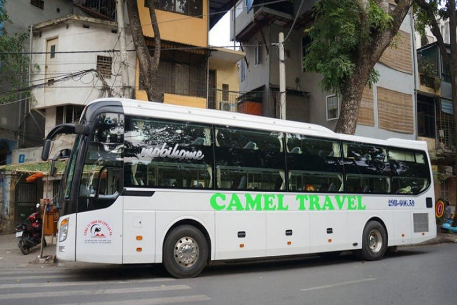 Hãng xe TM Camel