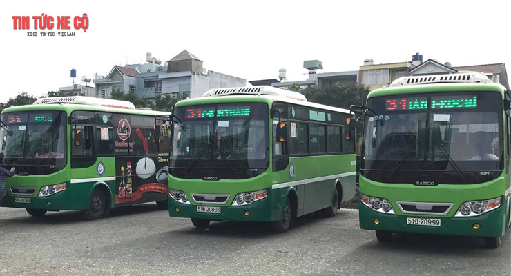 xe bus 31 tphcm