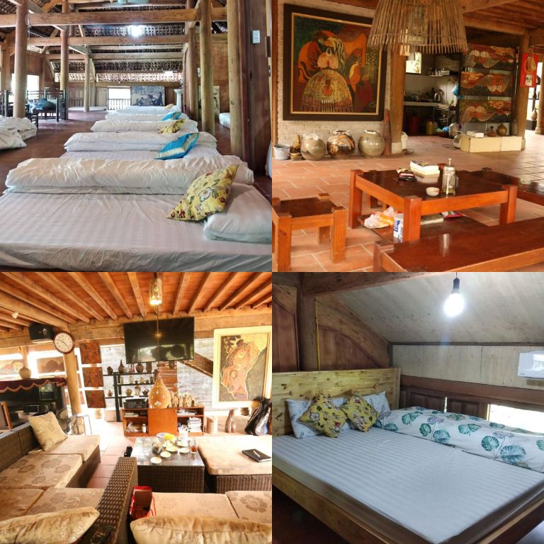 hoa mai viên homestay