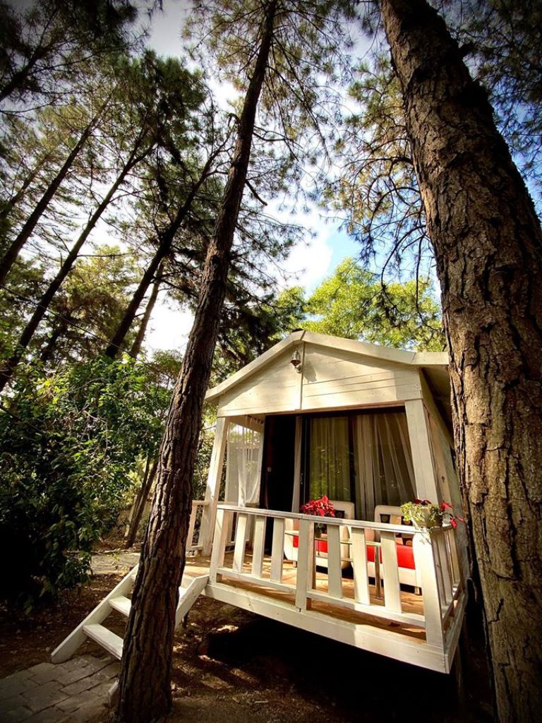 Pine Hill Villas & Camping