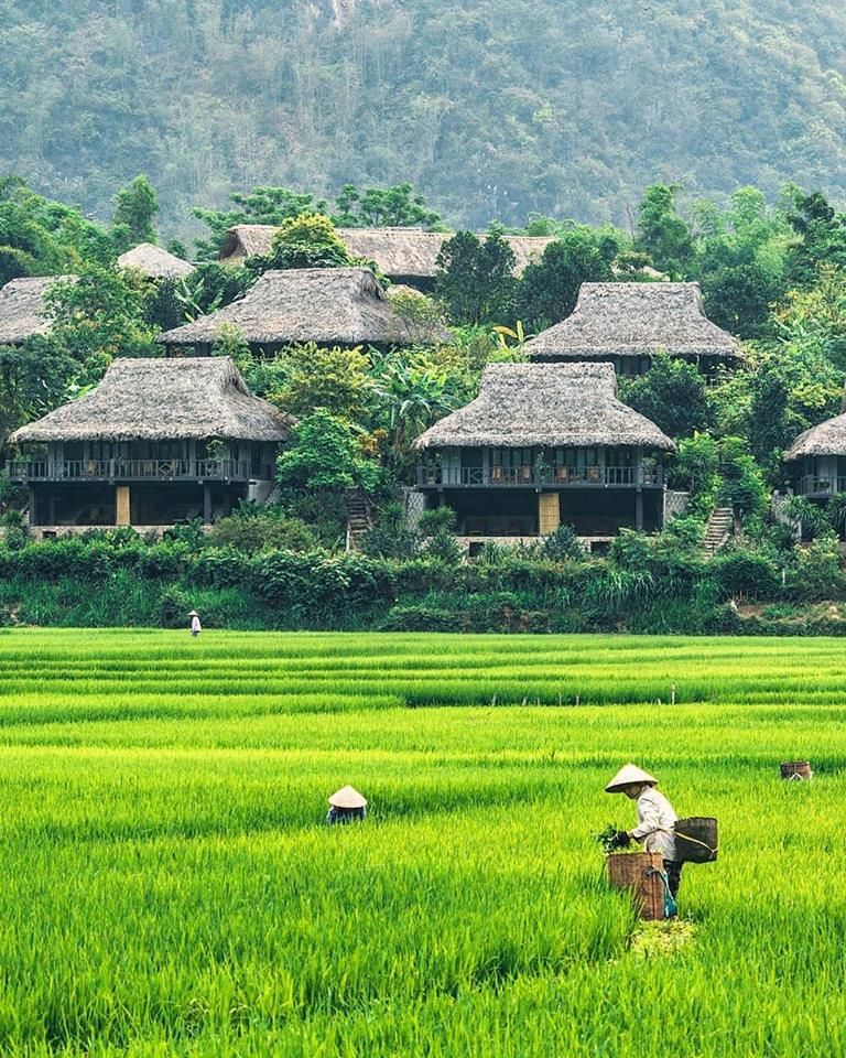 Mai Châu Ecolodge 