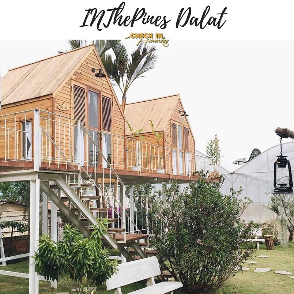 inthepines homestay Đà Lạt