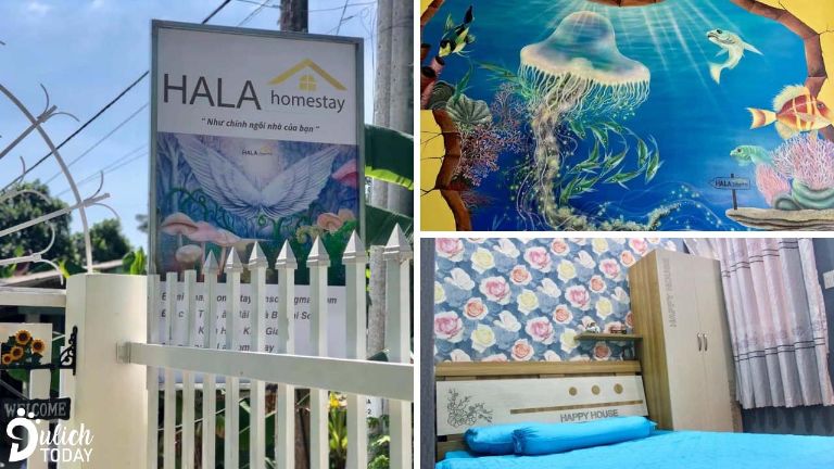 Hala homestay | Hòn Sơn homestay