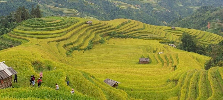 Du lịch Hà Giang mùa lúa chín cần tránh đi vào dịp cuối tuần