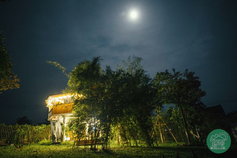 OKia Treehouse | Homestay Hà Nội có bể bơi