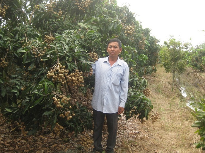 nhung vuon trai cay noi tieng o ben tre