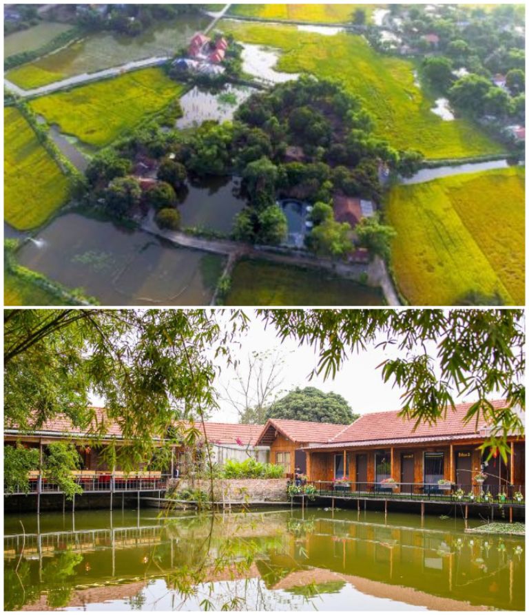 Tam Cốc Garden