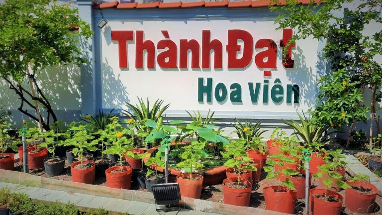 Thành Đạt hoa viên - Resort Cần Thơ