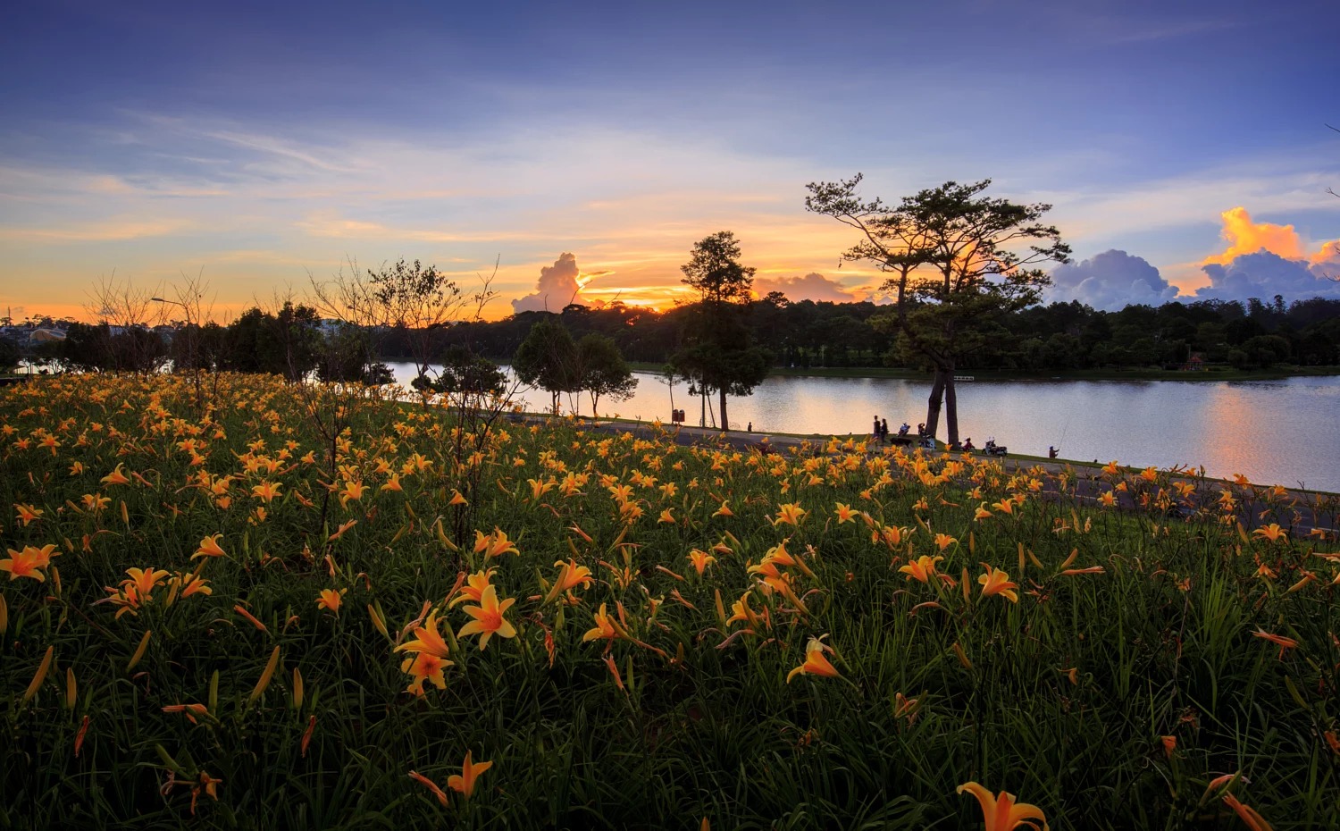 gia ve tham quan vuon hoa thanh pho da lat